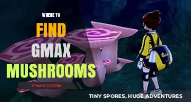 Exploring Nature's Bounty: A Guide to Gmax Mushroom Locations
