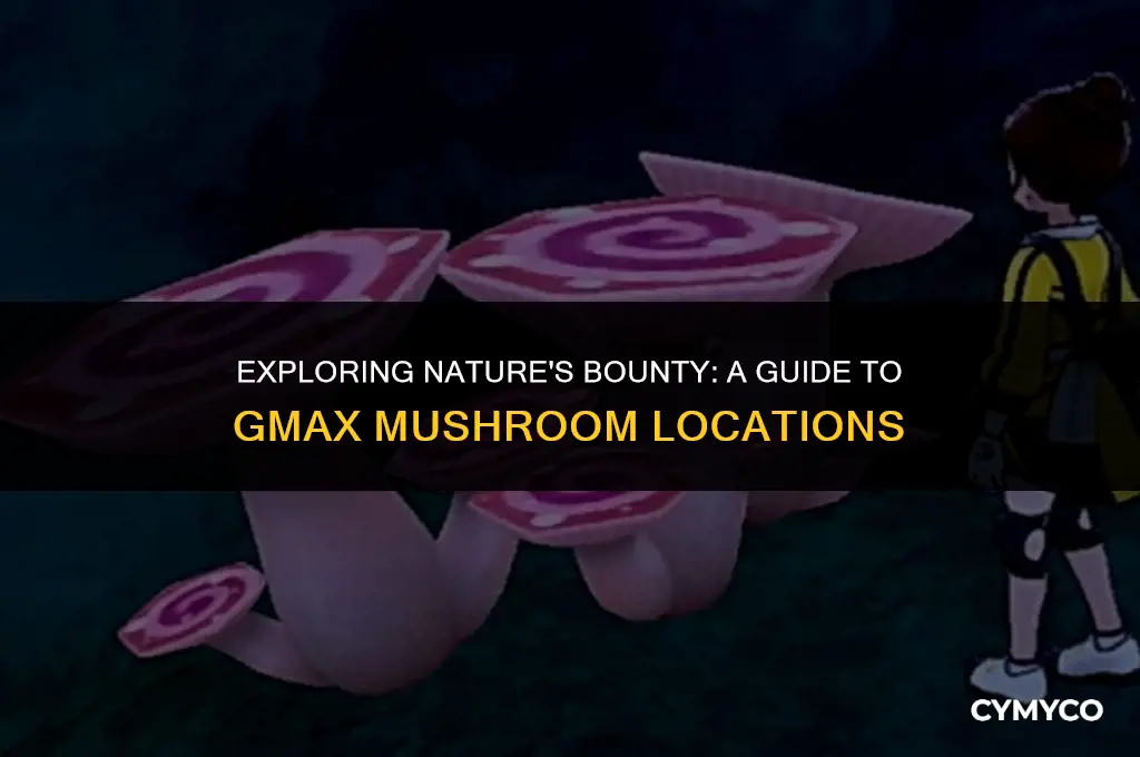 where to find gmax mushrooms