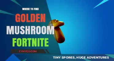 Golden Mushroom Hunt: Best Spots in Fortnite