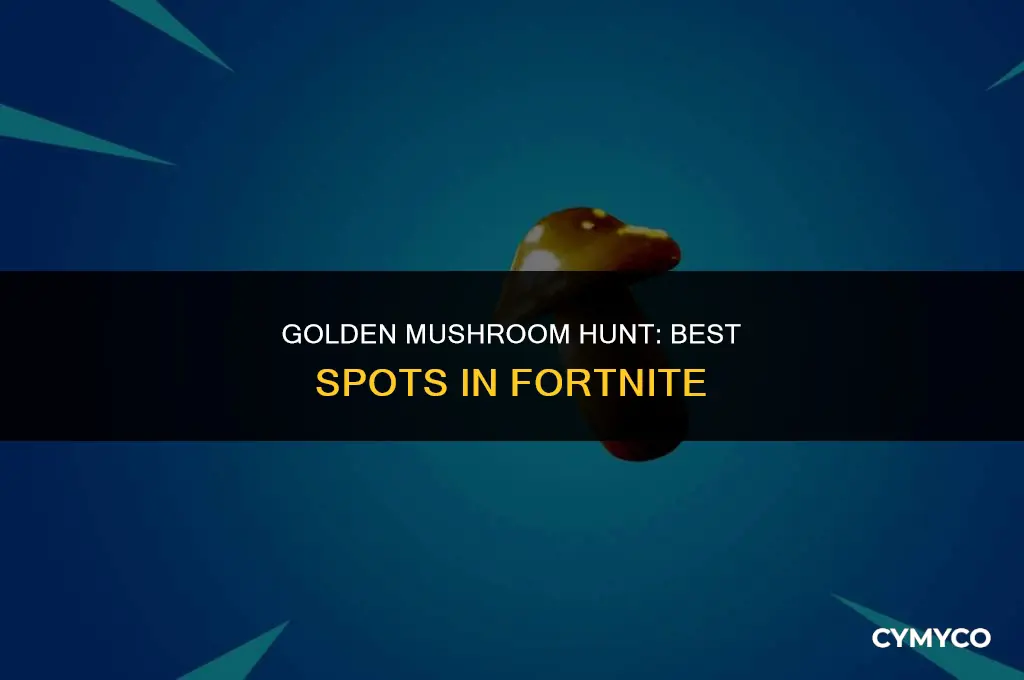 where to find golden mushroom fortnite