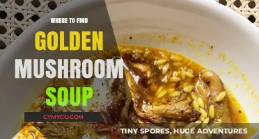 Discovering the Best Spots for Golden Mushroom Soup