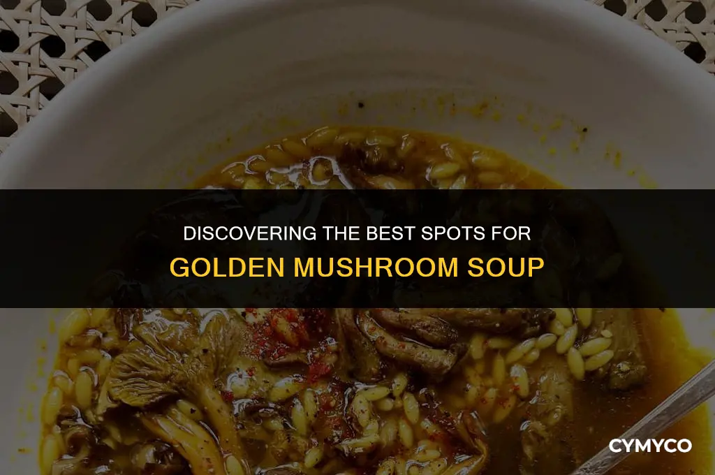 where to find golden mushroom soup