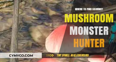 Discovering Gourmet Mushrooms in Monster Hunter: A Delicious Quest