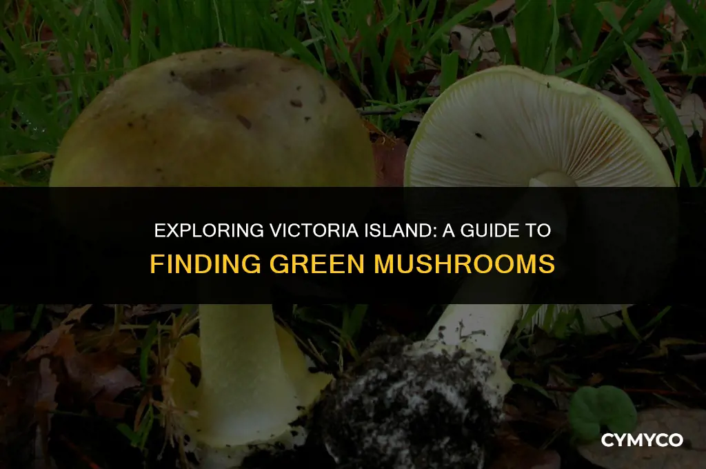where to find green mushrooms victoria island