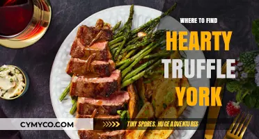 Truffle Treasures: Unveiling the Best Spots for Hearty Truffle York