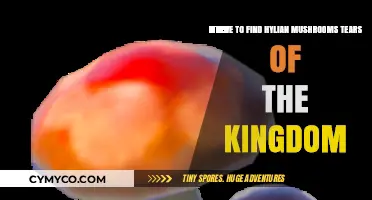 Discovering Hylian Mushrooms in Tears of the Kingdom: A Guide