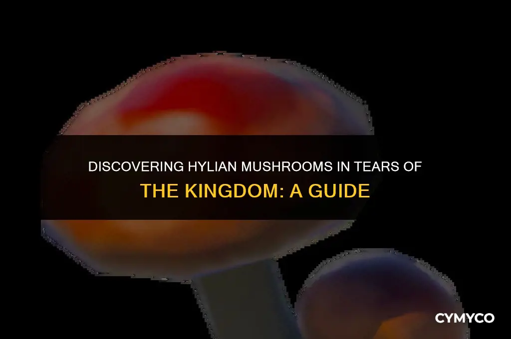 where to find hylian mushrooms tears of the kingdom