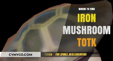 Discovering Iron Mushrooms in TotK: A Comprehensive Guide