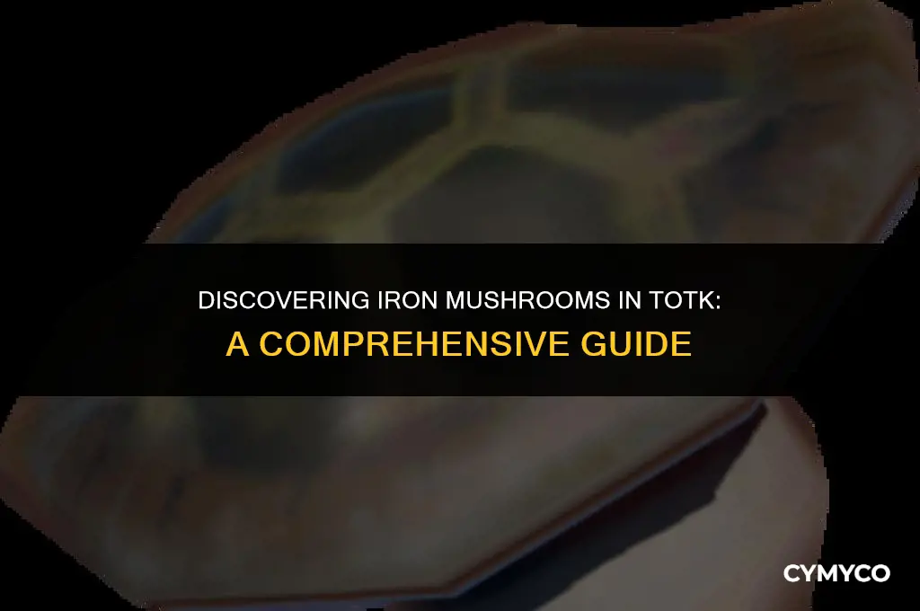 where to find iron mushrooms totk