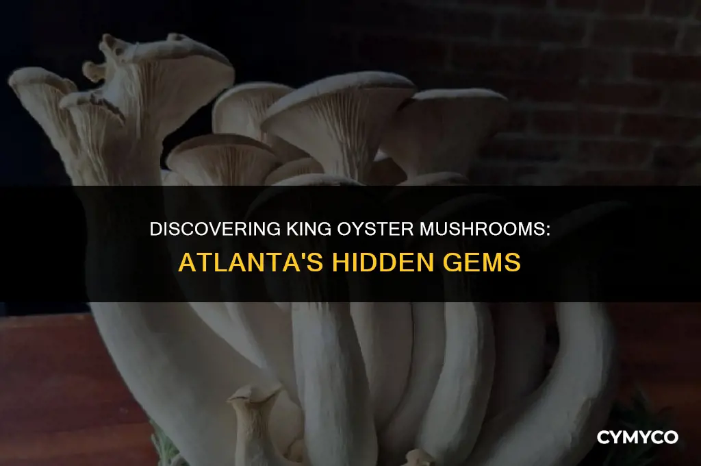 where to find king oyster mushrooms in atlanta