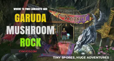 Exploring the Mystical Realms: A Guide to Lamashtu and Garuda Mushroom Rock