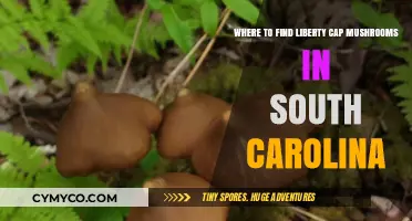 Exploring South Carolina: A Guide to Liberty Cap Mushrooms