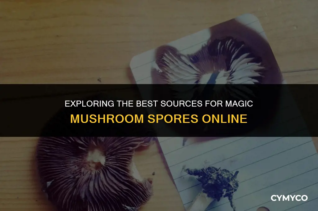 where to find magic mushroom spores