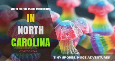 Exploring Nature's Hidden Gems: A Guide to Finding Magic Mushrooms in North Carolina