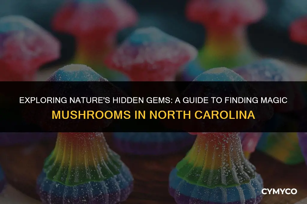 where to find magic mushrooms in north carolina
