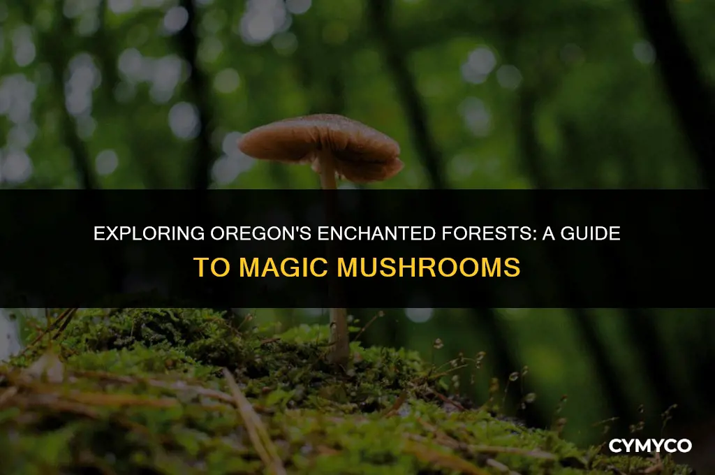 where to find magic mushrooms in oregon