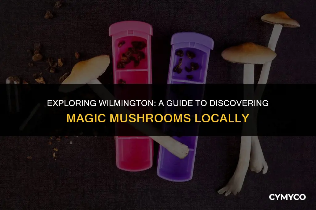 where to find magic mushrooms in the wilmington area