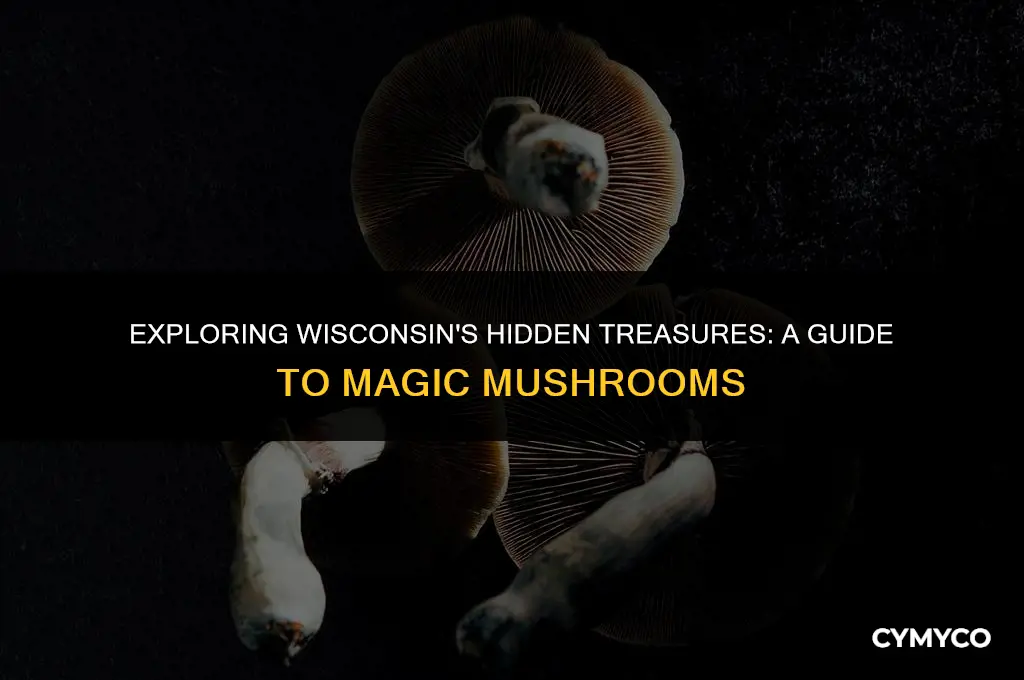 where to find magic mushrooms in wisconsin