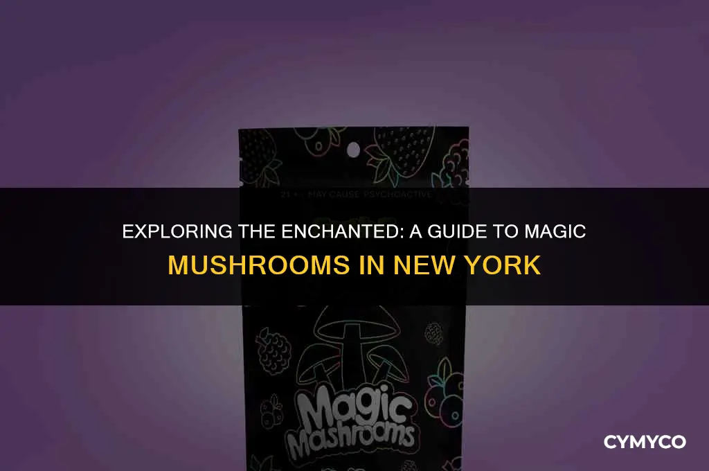 where to find magic mushrooms new york