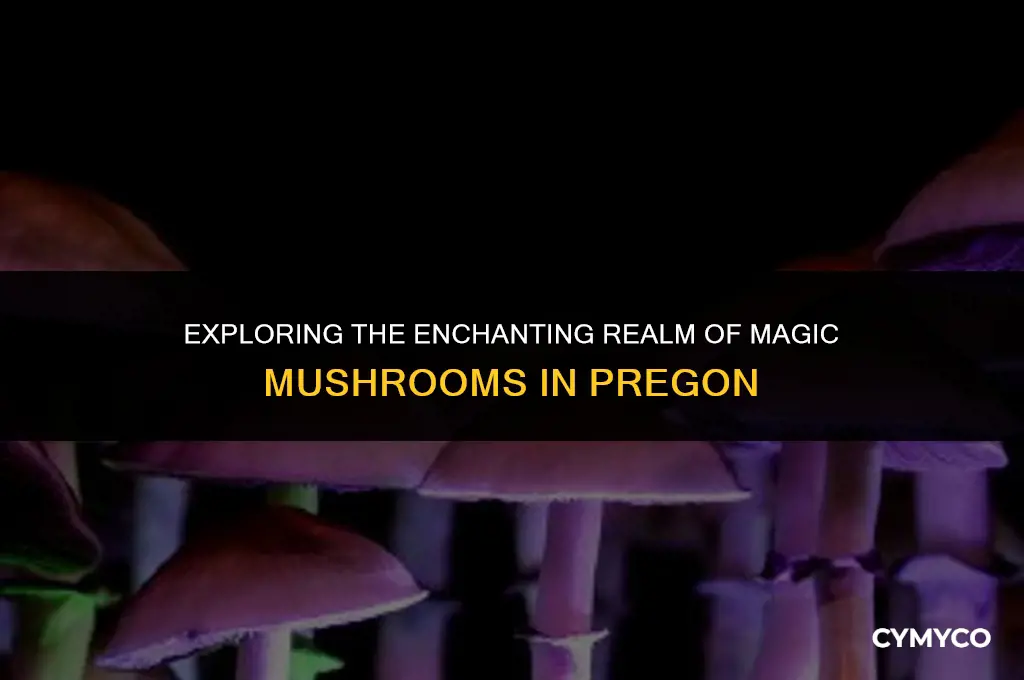 where to find magic mushrooms pregon