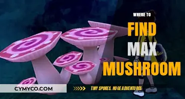 Exploring the Best Spots for Max Mushrooms: A Comprehensive Guide
