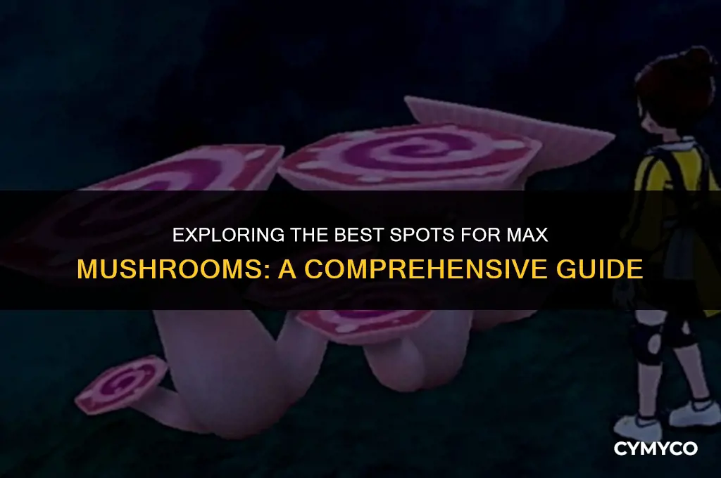 where to find max mushroom