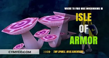 Isle of Armor's Hidden Treasures: Unveiling the Best Spots for Max Mushrooms