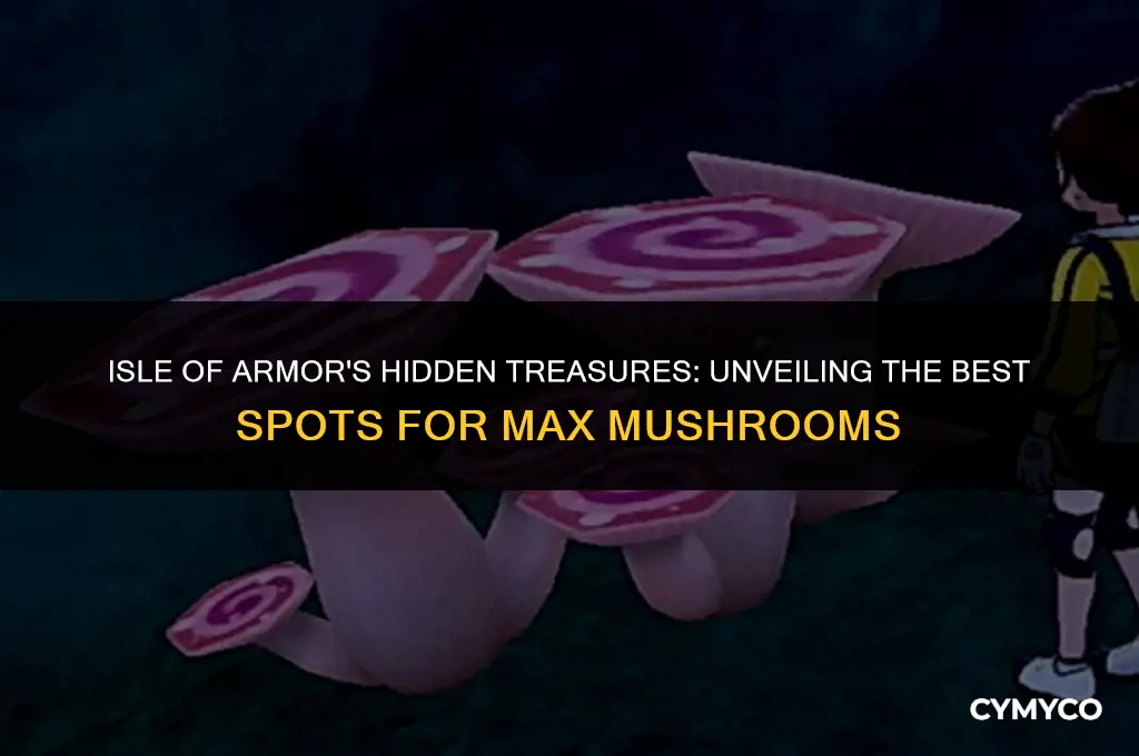 where to find max mushrooms in isle of armor