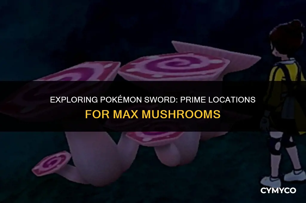 where to find max mushrooms in pokémon sword