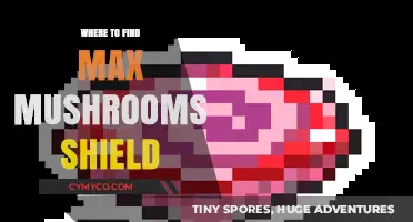 Exploring the Best Spots for Max Mushrooms Shield: A Comprehensive Guide