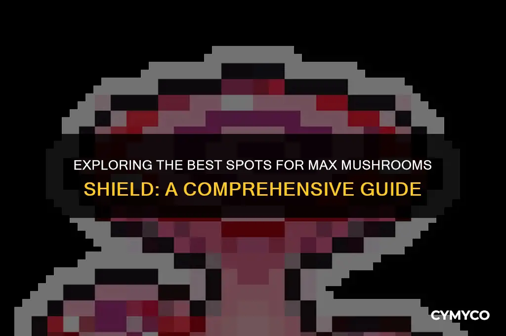 where to find max mushrooms shield