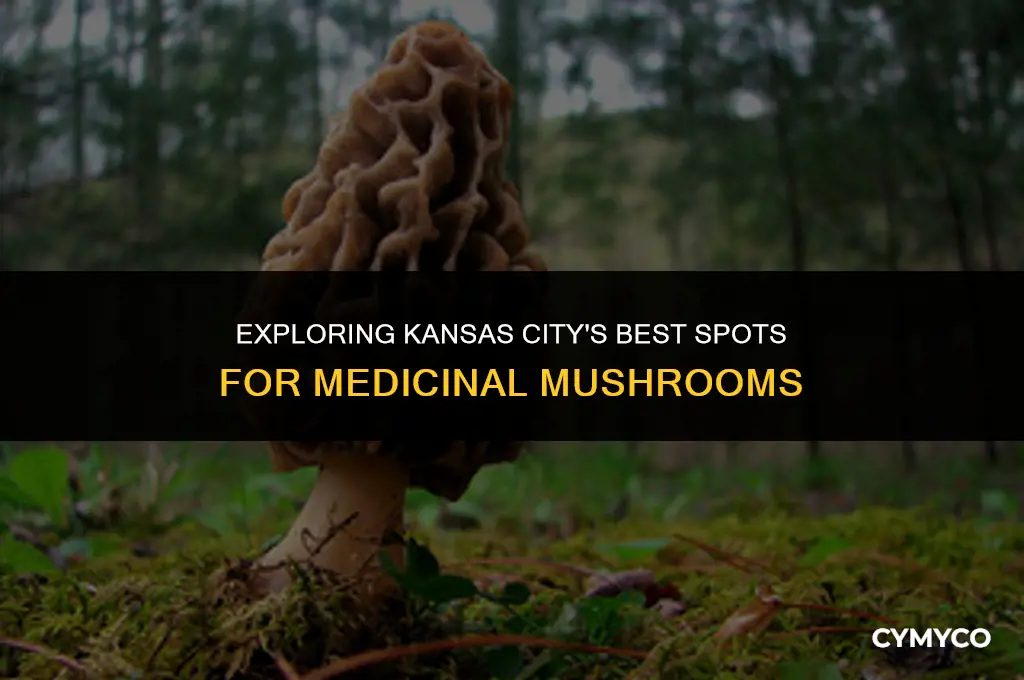 where to find medicinal mushrooms in kansas city are