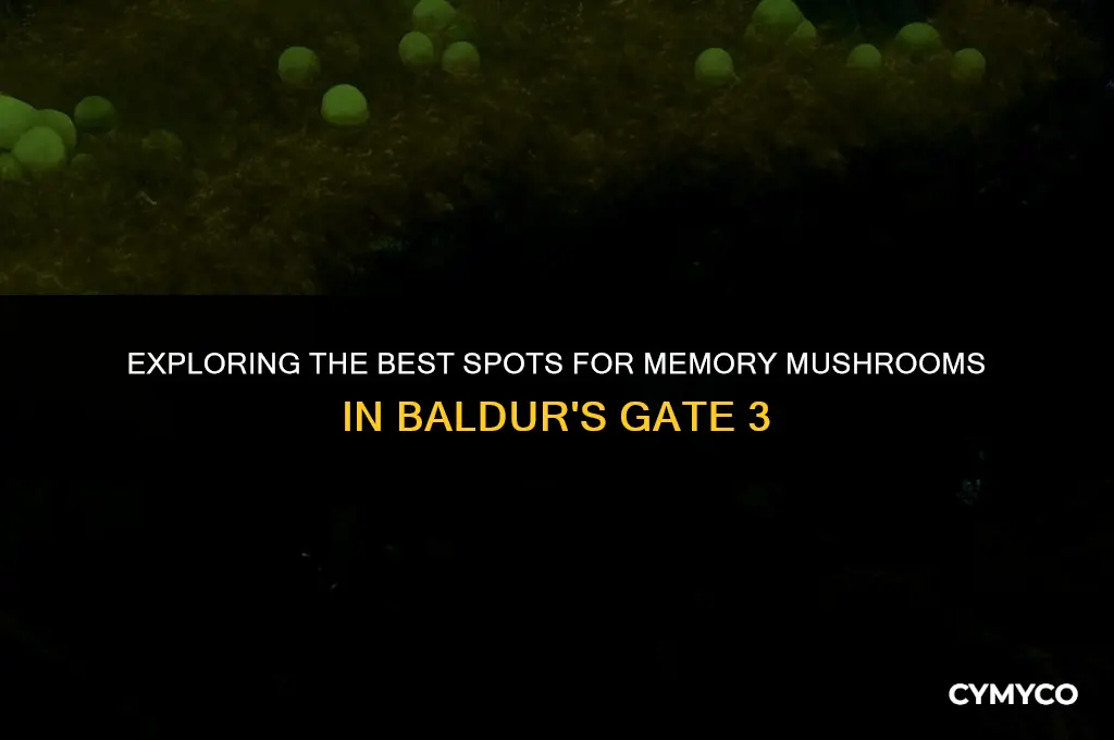 where to find memory mushroom bg3