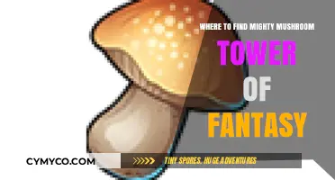 Exploring the Enchanting Realm: A Guide to Mighty Mushroom Towers in Fantasy