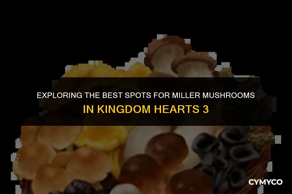 where to find miller mushroom kh3