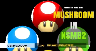 Discovering Hidden Mini Mushrooms in New Super Mario Bros. 2