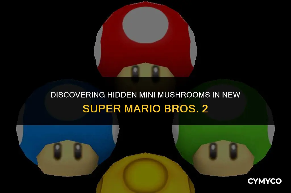 where to find mini mushrooms in nsmb2