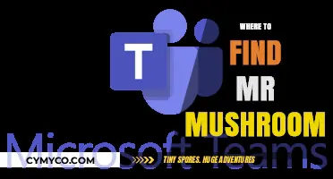 Exploring the Enchanting World of Mr. Mushroom: A Guide to Discovery