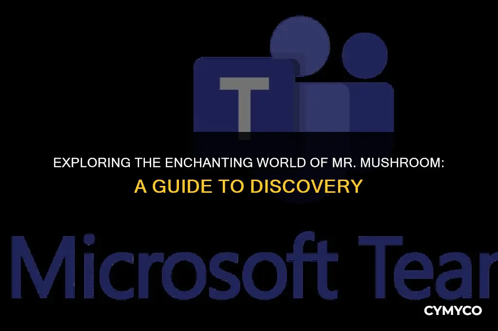 where to find mr mushroom