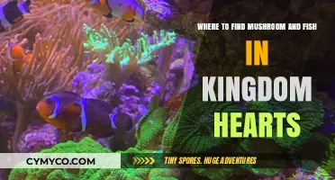 Exploring Kingdom Hearts: Mushroom and Fish Locations Guide