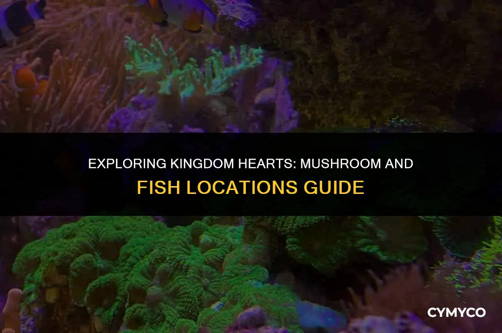 where to find mushroom and fish in kingdom hearts