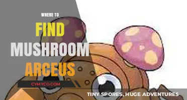 Exploring the Best Locations to Encounter Mushroom Arceus