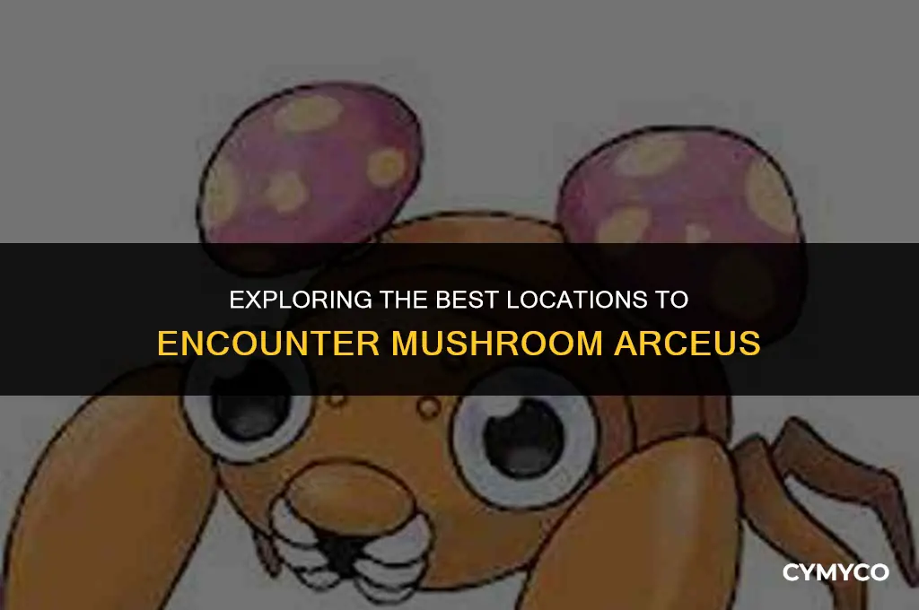 where to find mushroom arceus