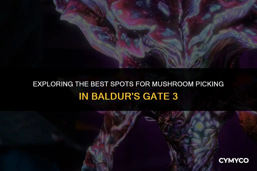 where to find mushroom bg3