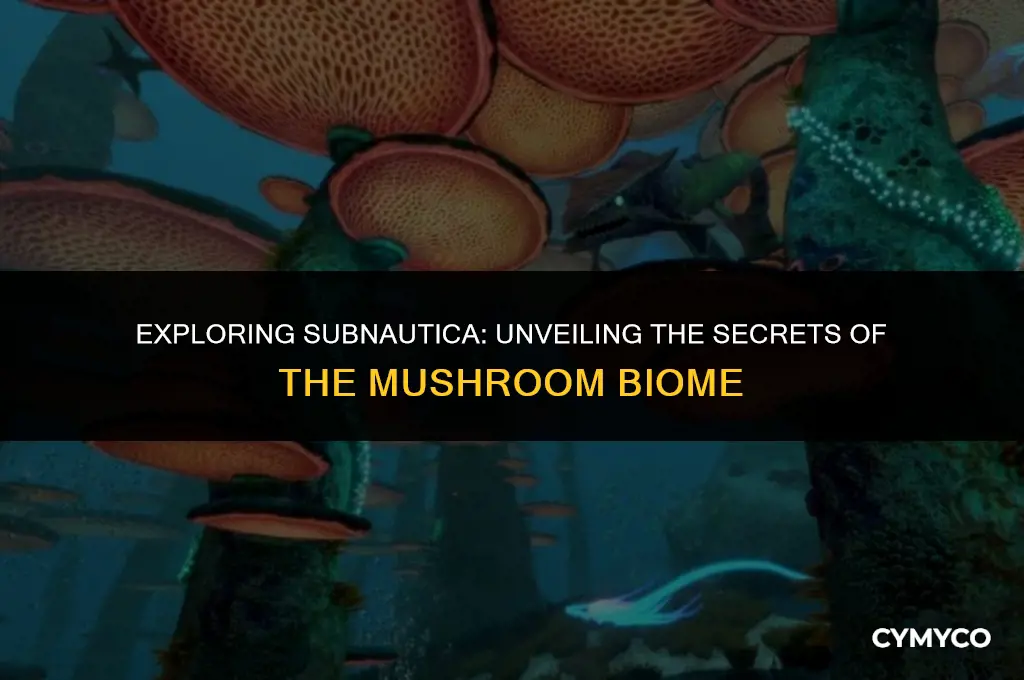 where to find mushroom biome subnautica