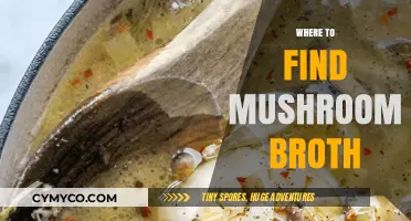 Exploring the Best Sources for Rich and Flavorful Mushroom Broth