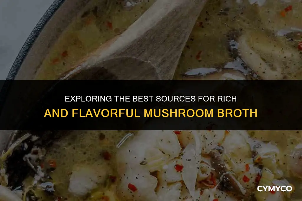 where to find mushroom broth