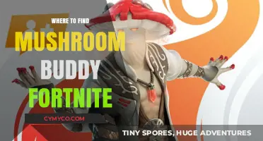 Exploring Fortnite: Your Guide to Finding Mushroom Buddy
