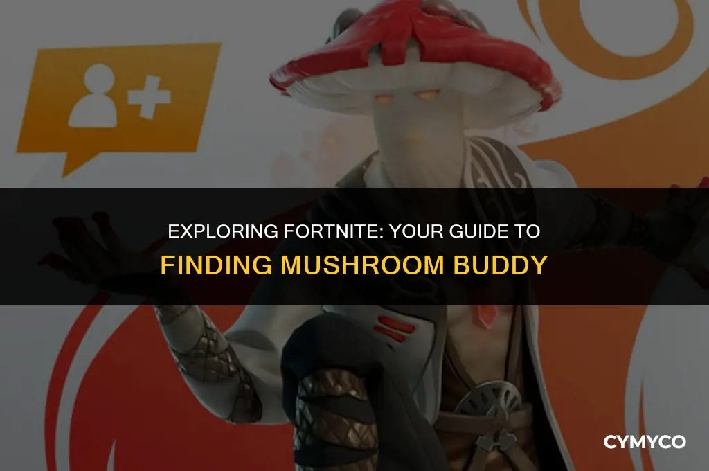 where to find mushroom buddy fortnite