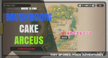Discovering the Elusive Mushroom Cake Arceus: A Pokémon Trainer's Guide